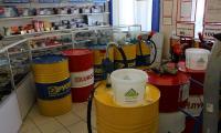 IMG_2875-1000.jpg